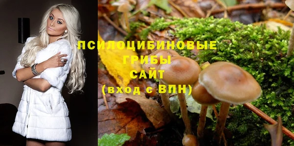 стаф Заволжье
