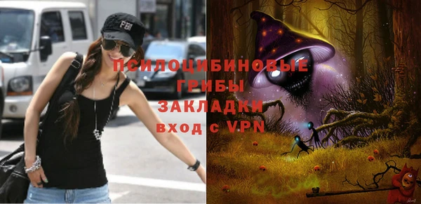 мдма Заводоуковск