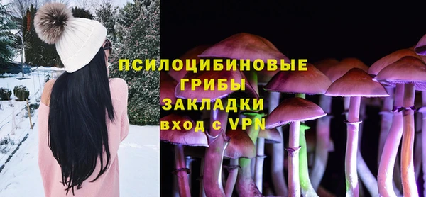 мдма Заводоуковск
