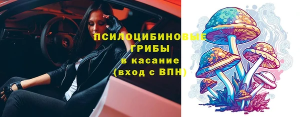 стаф Заволжье