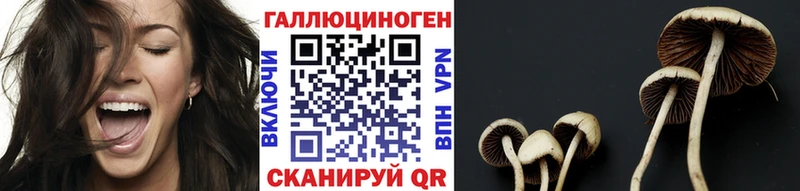 Купить где  Бийск  Псилоцибиновые грибы прущие грибы 